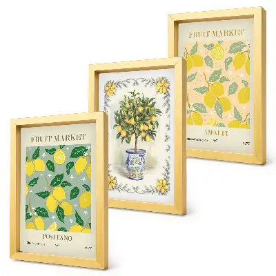 Italienische Poster mit Zitrusbäumen und Früchten bilderset mit rahmen