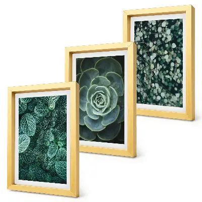 Bilderwand mit grünen Sukkulentenblättern und zarten Zweigen