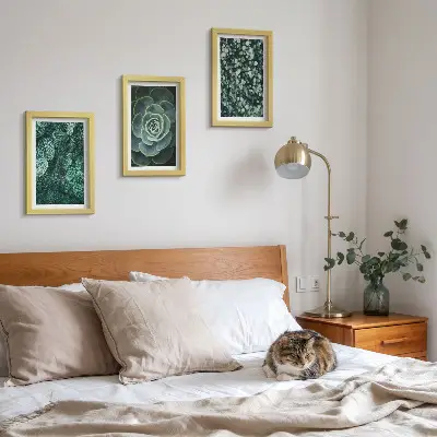 Bilderwand mit grünen Sukkulentenblättern und zarten Zweigen