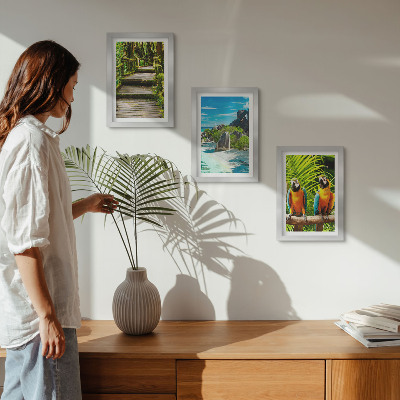 Bilderwand Tropischer Wald mit Wasserfall und bunten Papageien