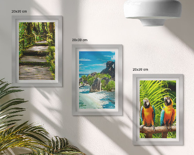 Bilderwand Tropischer Wald mit Wasserfall und bunten Papageien