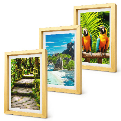 Bilderwand Tropischer Wald mit Wasserfall und bunten Papageien