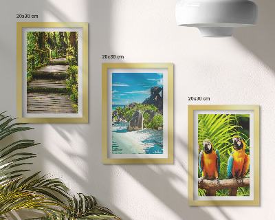 Bilderwand Tropischer Wald mit Wasserfall und bunten Papageien