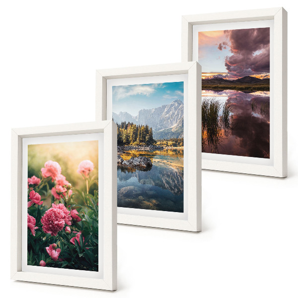 Bilderwand Blumen im Garten, Berge und eine ruhige Wasseroberfläche