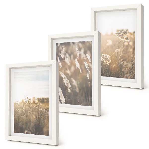 Fotowand Eine Landschaft mit Gräsern und Blumen in warmen Farbtönen
