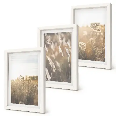 Fotowand Landschaft mit Gräsern und Blumen in warmen Farbtönen