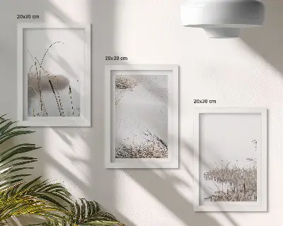 Fotowand mit zarten Sommeransichten von Wasserpflanzen