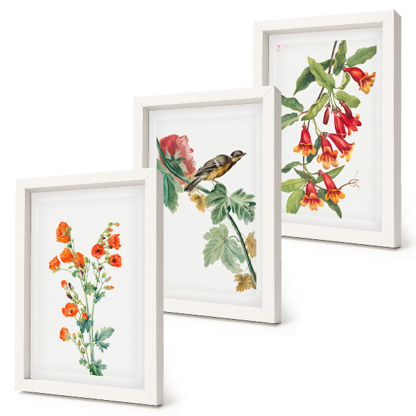 Bilderset mit rahmen Gemalte Retro-Blumen und ein Vogel auf einem Ast