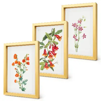 Fototapete mit Vintage-Retro-Blumenmalerei