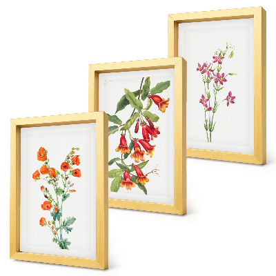 Fotowand Vintage-Retro-Blumenmalerei