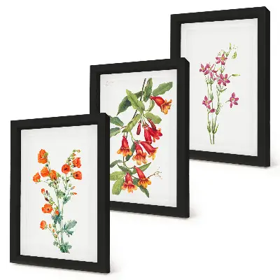 Fototapete mit Vintage-Retro-Blumenmalerei