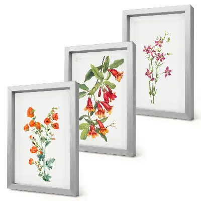 Fototapete mit Vintage-Retro-Blumenmalerei