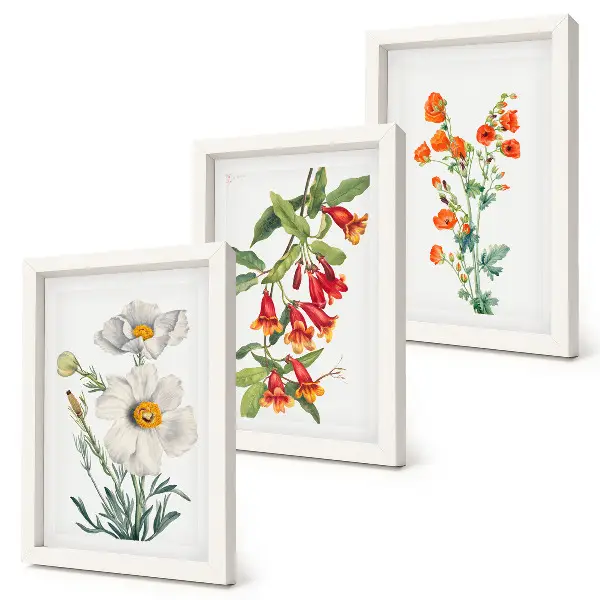 Bilderwand mit Blumenkompositionen im Retro-Vintage-Stil