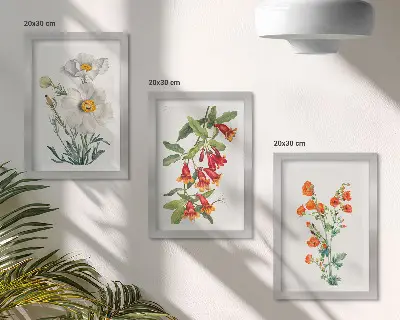 Bilderwand mit Blumenkompositionen im Retro-Vintage-Stil