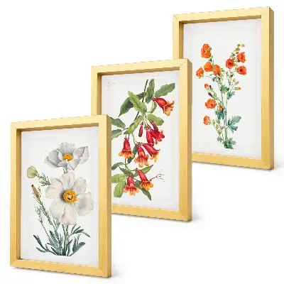 Bilderwand mit Blumenkompositionen im Retro-Vintage-Stil