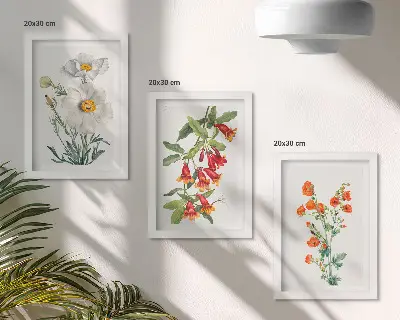Bilderwand mit Blumenkompositionen im Retro-Vintage-Stil
