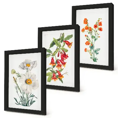 Bilderwand mit Blumenkompositionen im Retro-Vintage-Stil
