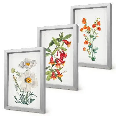 Bilderwand mit Blumenkompositionen im Retro-Vintage-Stil