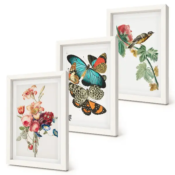 Bilderset mit Rahmen mit Motiven von Blumen, Schmetterlingen und einem Vogel in Pastelltönen