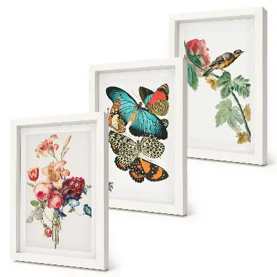 Bilderset mit Rahmen mit Motiven von Blumen, Schmetterlingen und einem Vogel in Pastelltönen