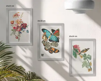 Bilderset mit Rahmen mit Motiven von Blumen, Schmetterlingen und einem Vogel in Pastelltönen