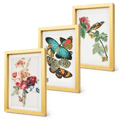 Bilderset mit Rahmen mit Motiven von Blumen, Schmetterlingen und einem Vogel in Pastelltönen