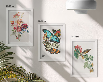 Bilderset mit rahmen Blumen, Schmetterlinge und ein Vogel in Pastelltönen