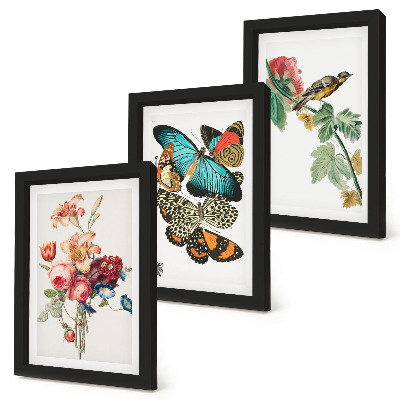 Bilderset mit rahmen Blumen, Schmetterlinge und ein Vogel in Pastelltönen