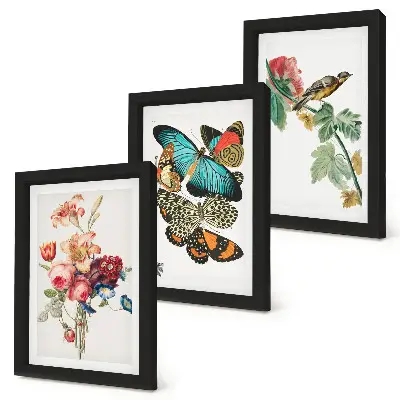 Bilderset mit Rahmen mit Motiven von Blumen, Schmetterlingen und einem Vogel in Pastelltönen