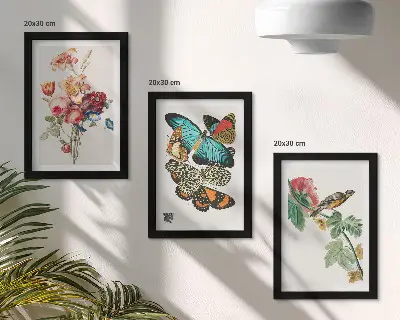 Bilderset mit Rahmen mit Motiven von Blumen, Schmetterlingen und einem Vogel in Pastelltönen