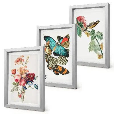 Bilderset mit Rahmen mit Motiven von Blumen, Schmetterlingen und einem Vogel in Pastelltönen