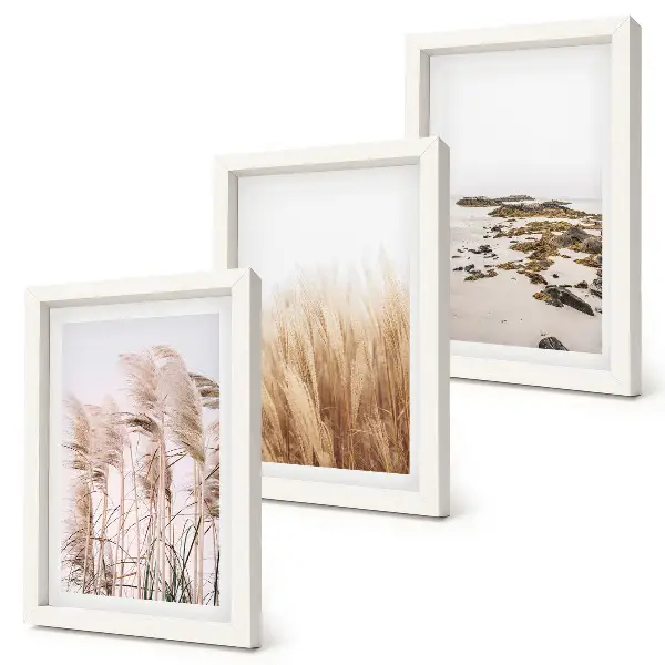 Bilderwand mit Pampasgrasfeldern und einem Boho-Strand