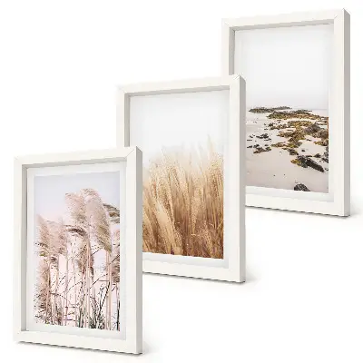Bilderwand mit Pampasgrasfeldern und einem Boho-Strand