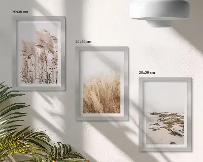 Bilderwand mit Pampasgrasfeldern und einem Boho-Strand
