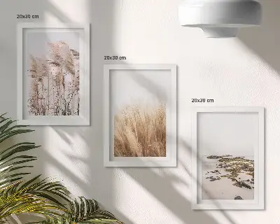 Bilderwand mit Pampasgrasfeldern und einem Boho-Strand
