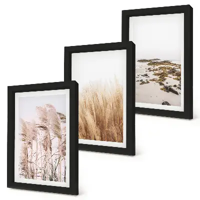Bilderwand mit Pampasgrasfeldern und einem Boho-Strand