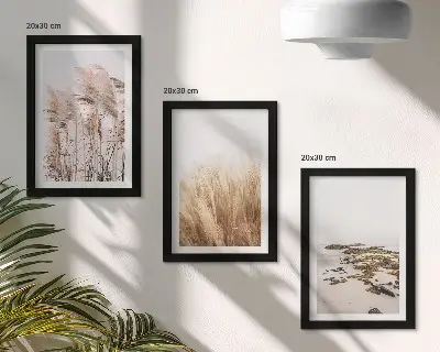 Bilderwand mit Pampasgrasfeldern und einem Boho-Strand