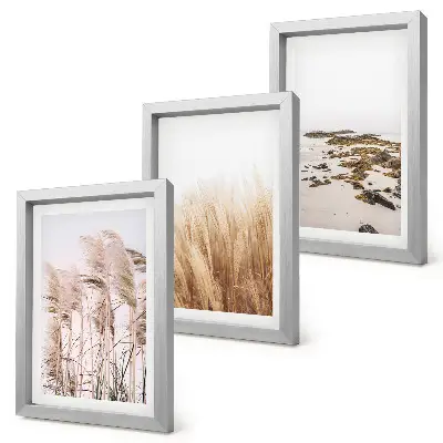 Bilderwand mit Pampasgrasfeldern und einem Boho-Strand
