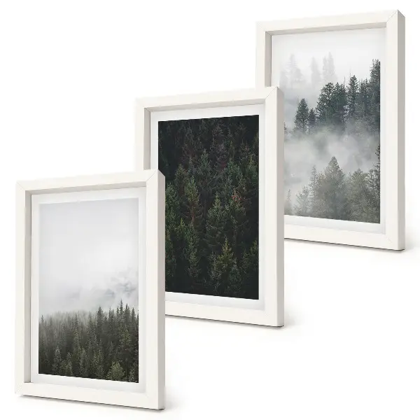 Bilderwand mit grünen Wäldern in einer nebligen Naturlandschaft