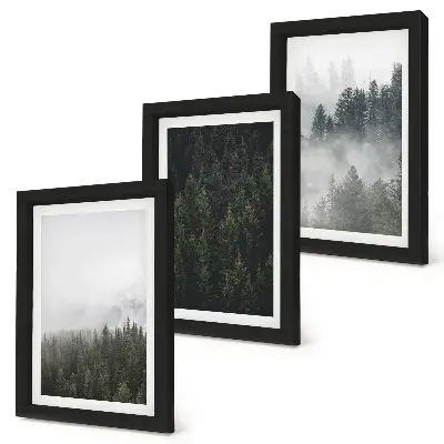 Bilderwand mit grünen Wäldern in einer nebligen Naturlandschaft