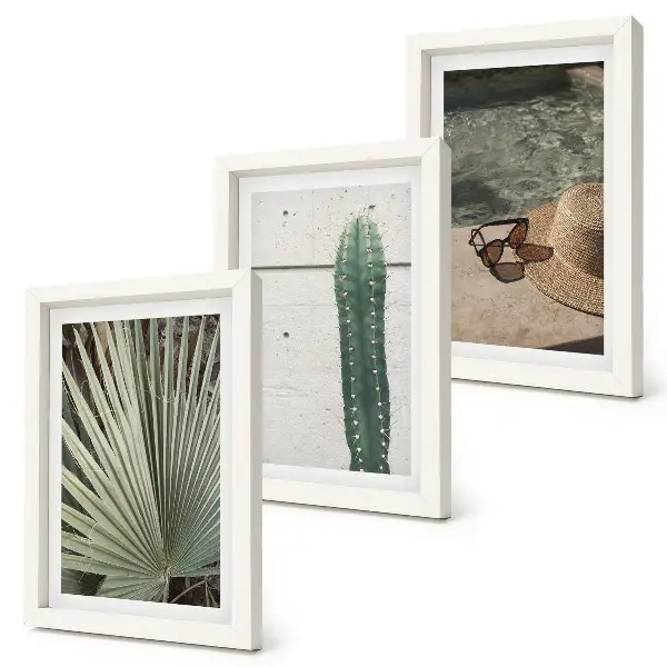 Bilderwand mit tropischen Pflanzen und Urlaubsaccessoires für die Küste