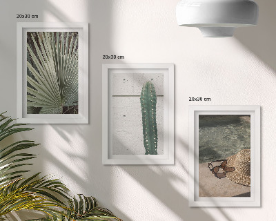 Bilderwand Tropische Pflanzen und Urlaubsaccessoires für die Küste