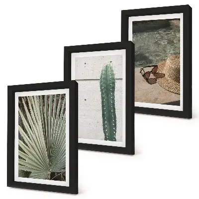 Bilderwand mit tropischen Pflanzen und Urlaubsaccessoires für die Küste