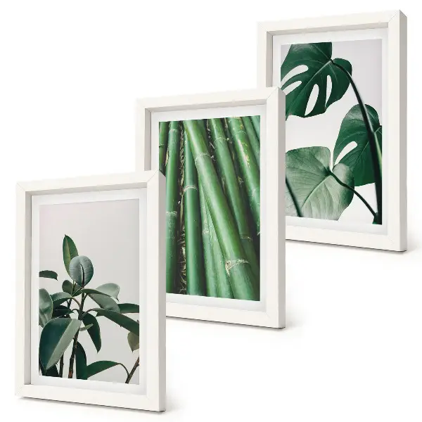 Fotowand mit Bambusstängeln Zimmerpflanze und Monstera-Blättern