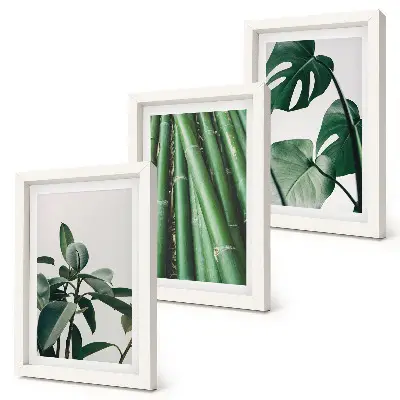 Fotowand mit Bambusstängeln Zimmerpflanze und Monstera-Blättern
