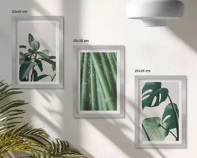 Fotowand mit Bambusstängeln Zimmerpflanze und Monstera-Blättern