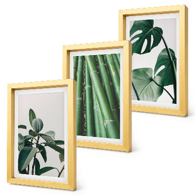Fotowand Bambusstängel, Zimmerpflanze und Monstera-Blätter