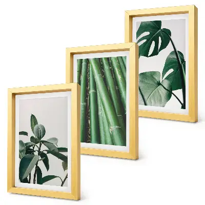 Fotowand mit Bambusstängeln Zimmerpflanze und Monstera-Blättern