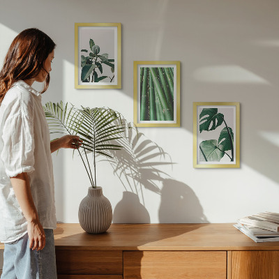 Fotowand Bambusstängel, Zimmerpflanze und Monstera-Blätter