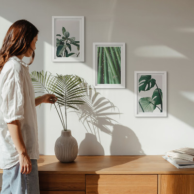 Fotowand Bambusstängel, Zimmerpflanze und Monstera-Blätter